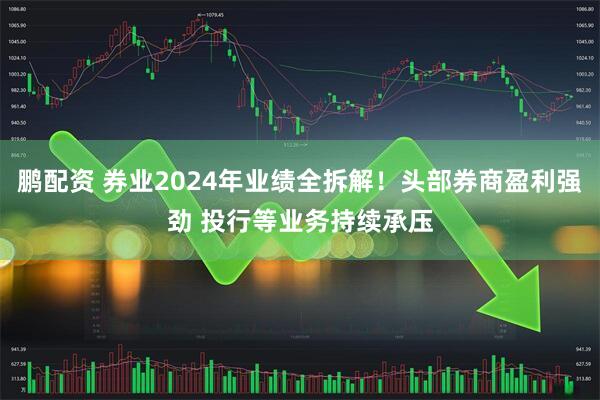 鹏配资 券业2024年业绩全拆解！头部券商盈利强劲 投行等业务持续承压