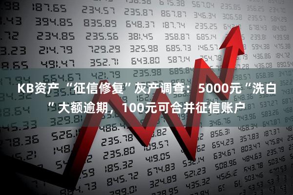 KB资产 “征信修复”灰产调查:5000元“洗白”大额逾期,100元可合并征信账户